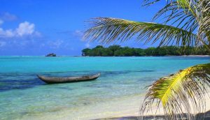 Palmier et pirogue à Madagascar